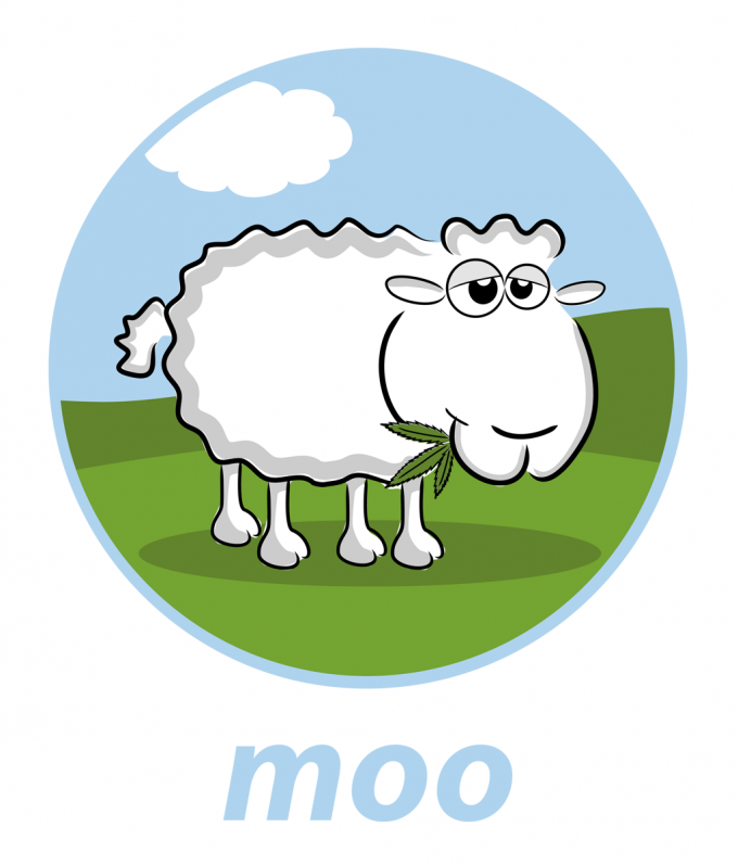 moo sheep tshirt artwork 1
