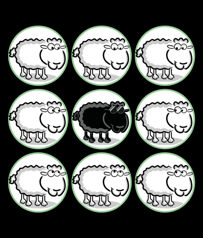 black sheep t shirt artwork